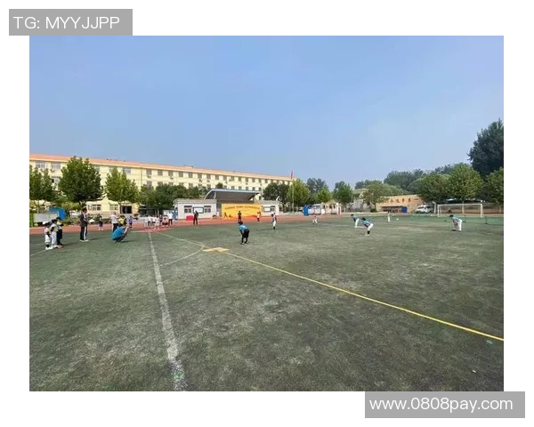 柳州足球野球的崛起与发展探索：助力地方体育文化的全面提升与推广