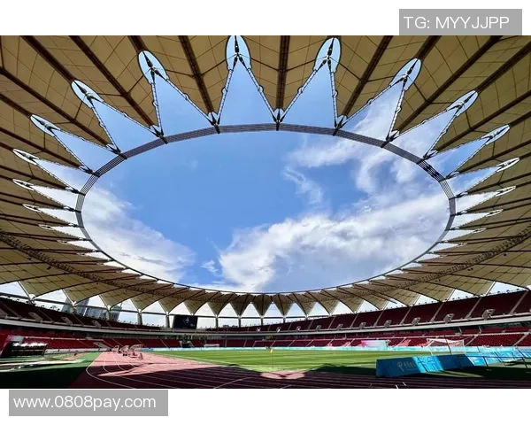 泥泞足球的魅力与挑战：在泥泞中追逐梦想的青春故事