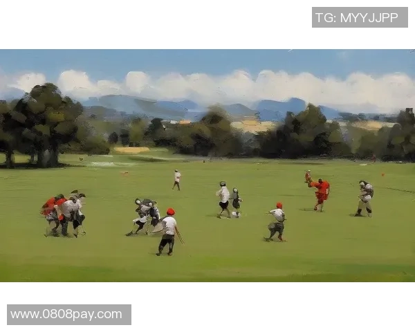 足球公园广告全新上线打造激情四溢的足球体验与互动平台